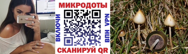 Псилоцибиновые грибы MAGIC MUSHROOMS  Кувшиново 